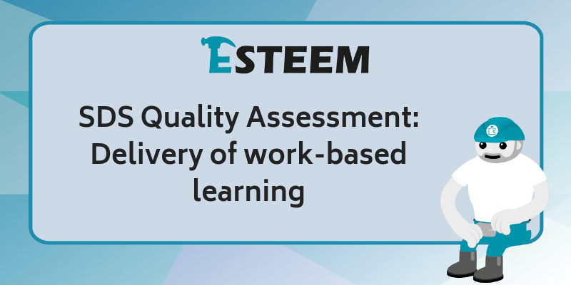 SDS Quality Assessment: Delivery of work-based learning