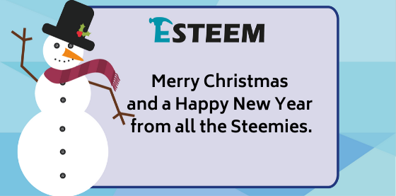 Merry Christmas and a Happy New Year from all the Steemies